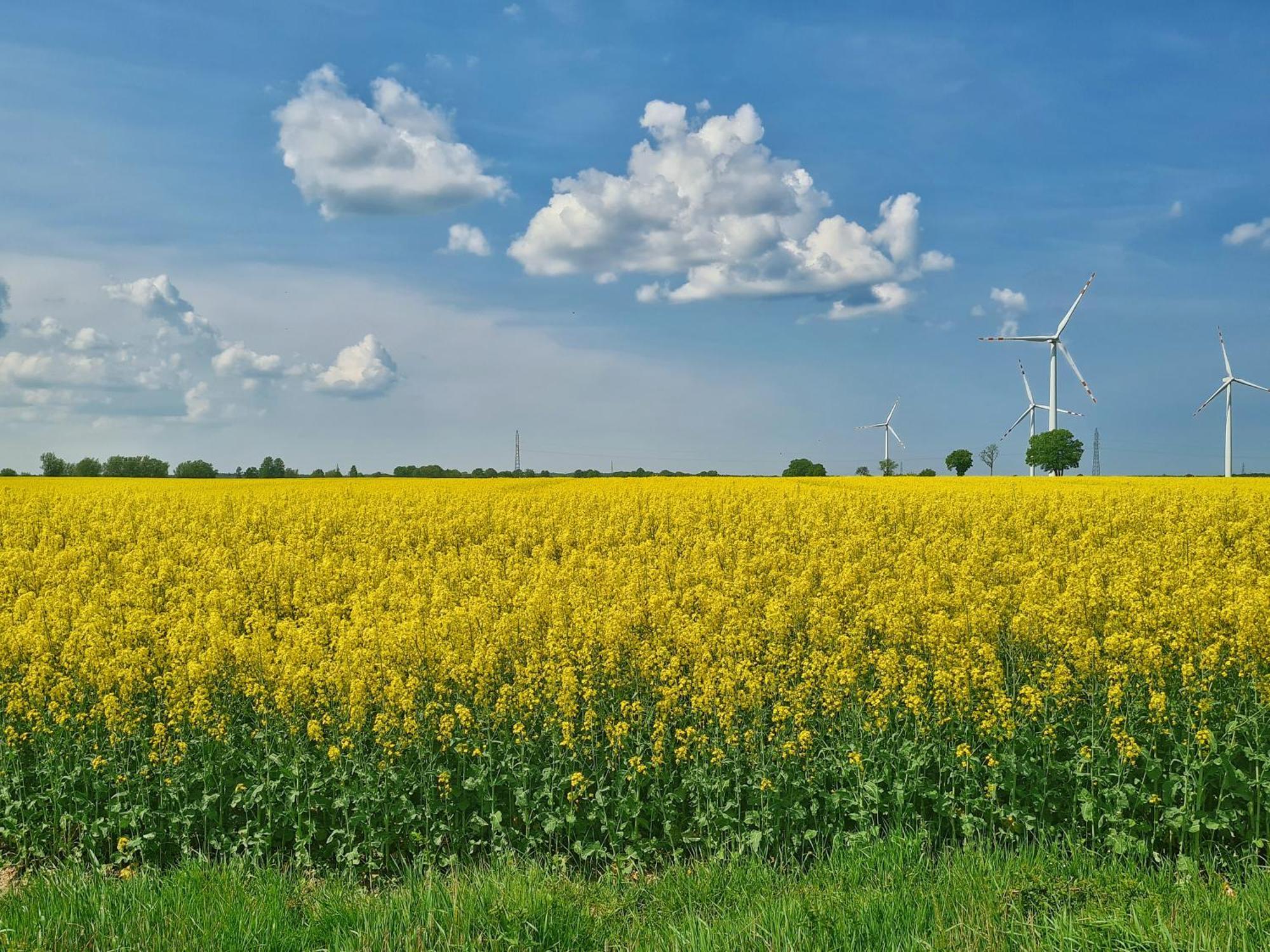 Agroturystyka Nowy Krakow Jezyce Exteriér fotografie